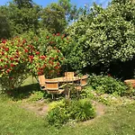 Bed & Breakfast Susannes *