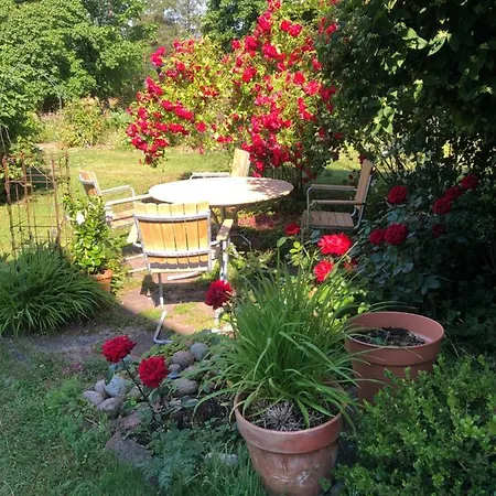 Bed & Breakfast Susannes Frebbenby