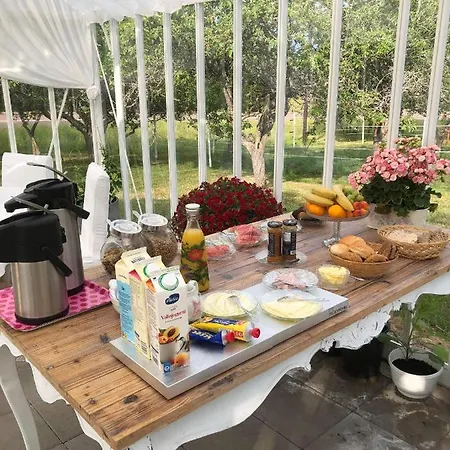 Bed & Breakfast Susannes Frebbenby