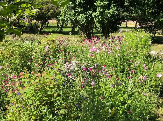 Susannes Bed & Breakfast