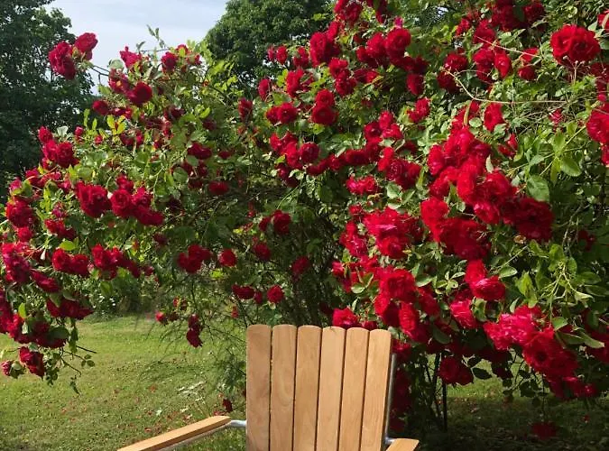 Susannes Bed & Breakfast