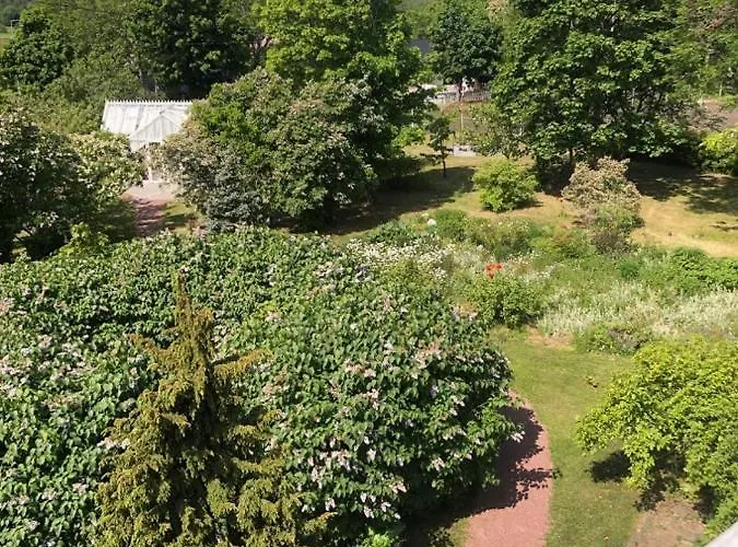 Susannes Bed & Breakfast