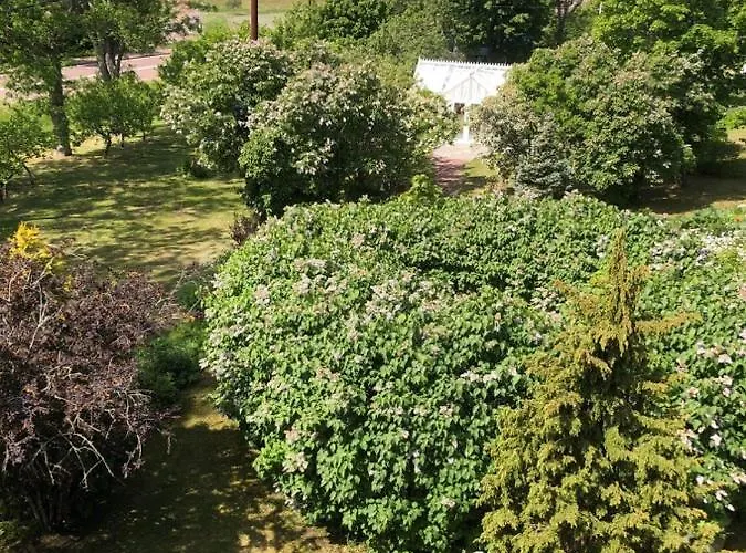 Susannes Bed & Breakfast *